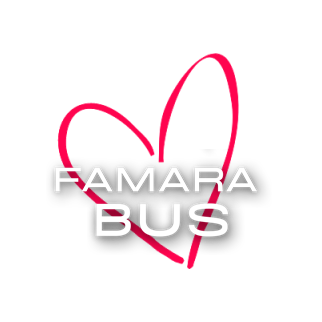 Logo famara bus formato ico